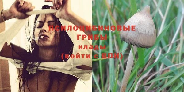 марки lsd Алзамай