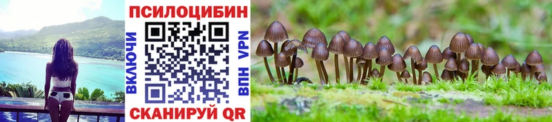 blacksprut вход  цена   Куйбышев  Псилоцибиновые грибы мицелий 