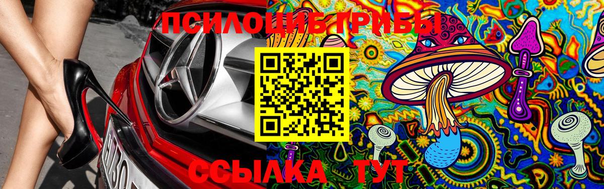 Галлюциногенные грибы GOLDEN TEACHER Куйбышев